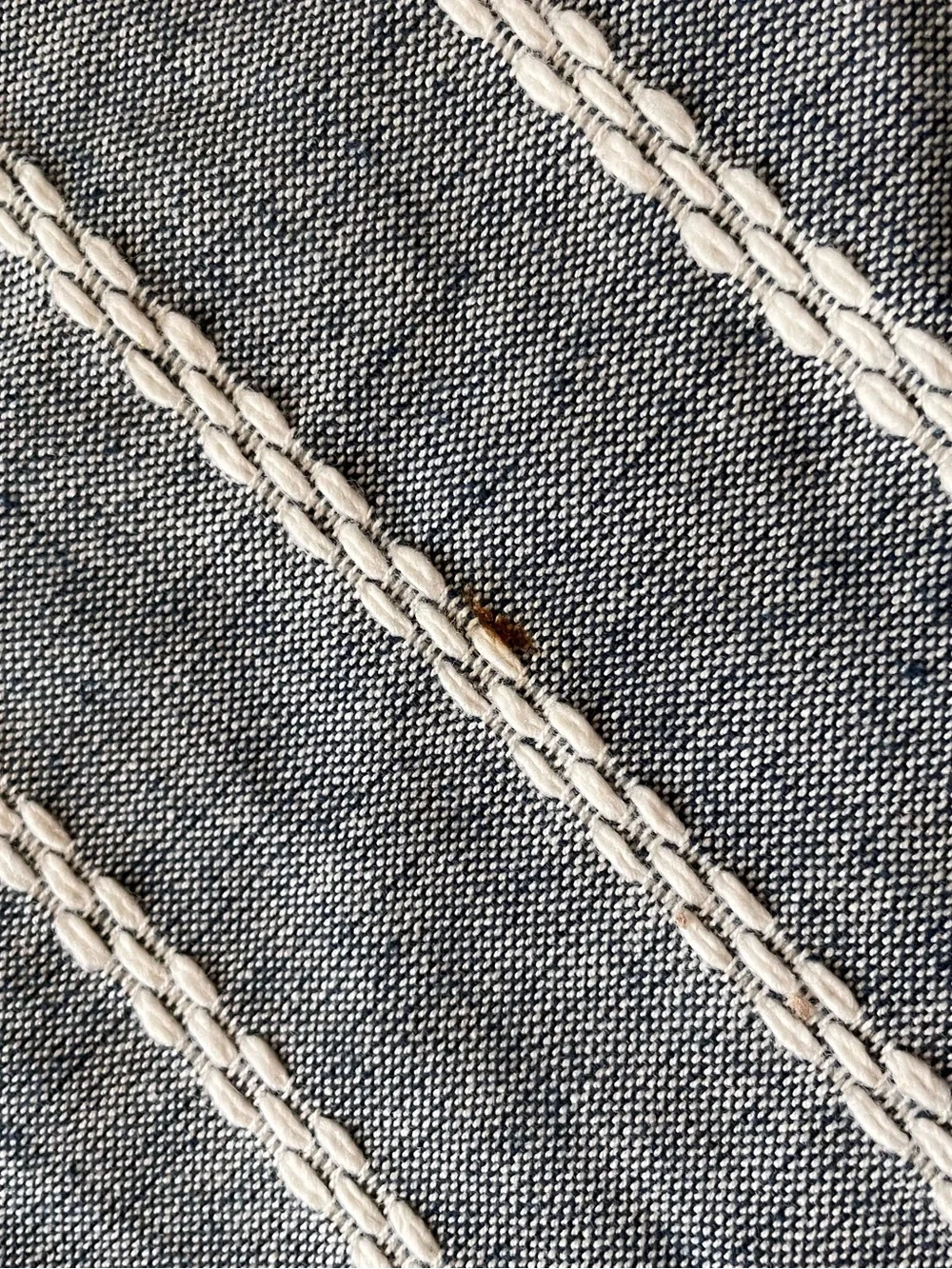 Hearth & Hand Table Runner